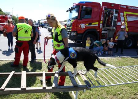 DNEVI ZAŠČITE IN REŠEVANJA 12 FOTO LJUBO VUKELIČ